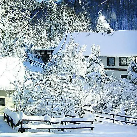 Apartment Schiefertal - Dmg03505-cye Wieda